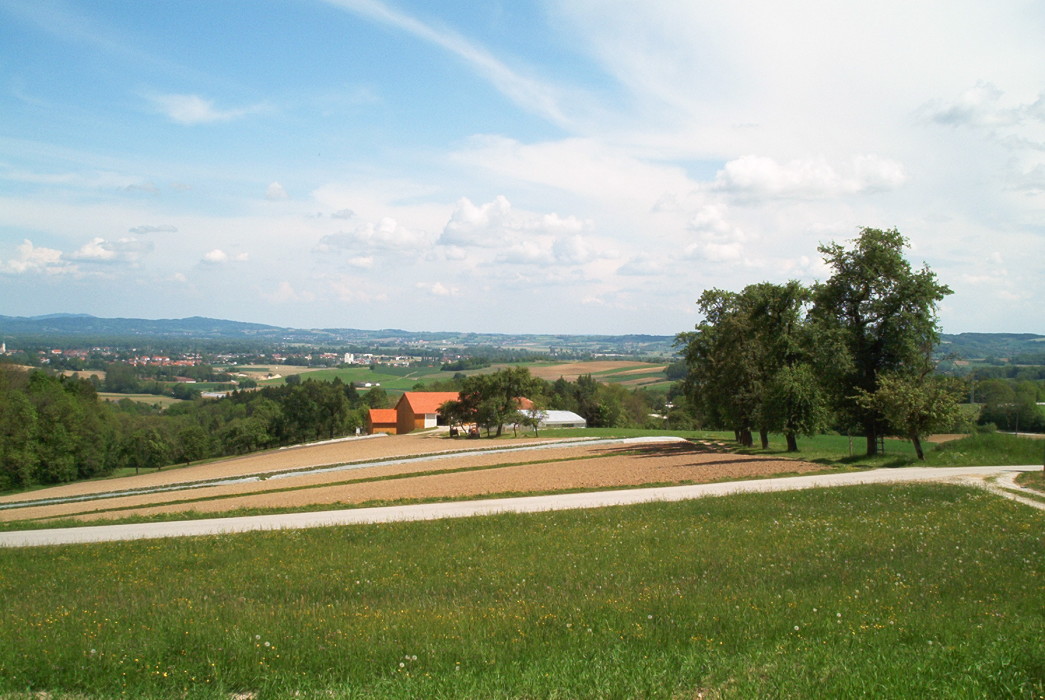 Scaled image bio_der_ausblick.jpg 